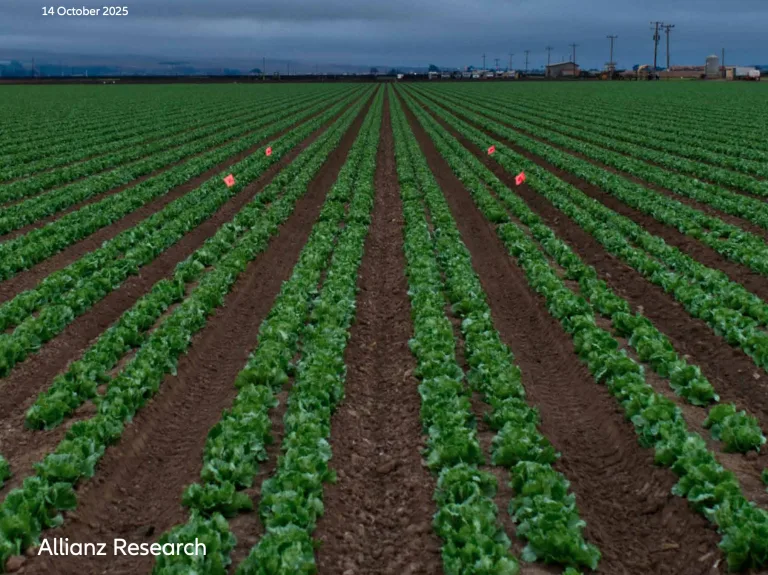Comment nourrir un monde en surchauffe ? Assurer sécurité alimentaire et stabilité économique dans un climat en mutation