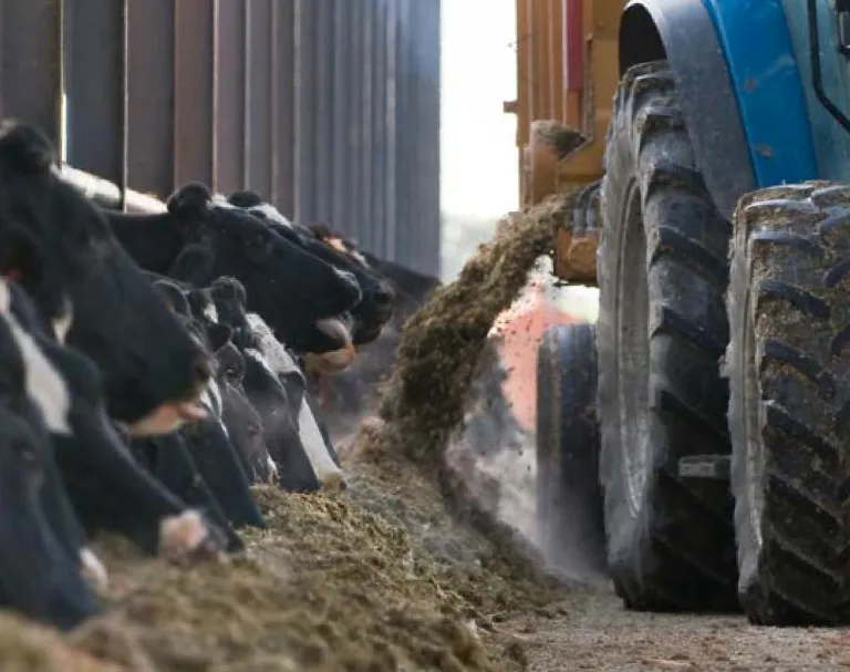 Cesser de nourrir l&rsquo;élevage industriel pour soutenir un élevage autonome, durable et respectueux des animaux, des humains et de la planète