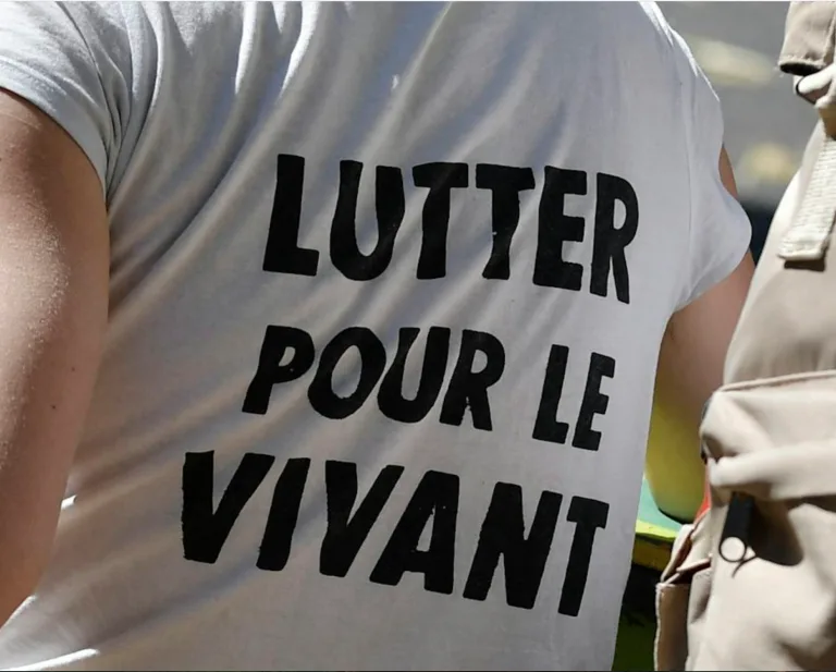 Parler de « vivant » plutôt que de « nature » : effet de mode ou tournant politique ?