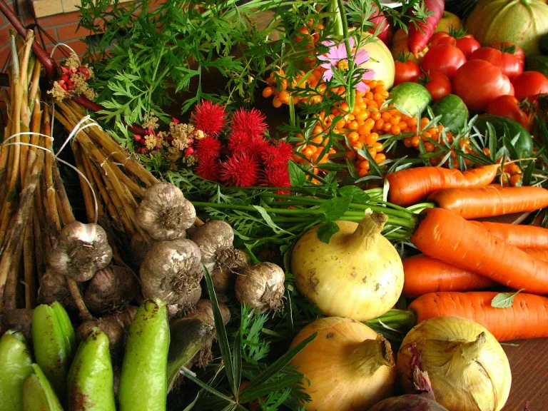 Une agriculture 100% bio en France est-elle possible ?