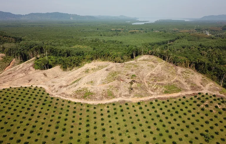 Le Global Biodiversity Score : Un outil pour mesurer l’empreinte biodiversité des collectivités territoriales