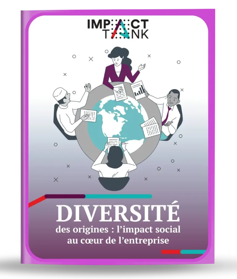 Diversité des origines en entreprise : du diagnostic à l’outil opérationnel pour mesurer l&rsquo;impact social et sociétal