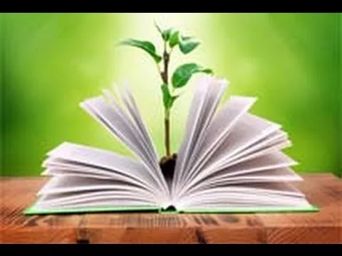Enjeux environnementaux : en quoi l’éducation transforme-t-elle les comportements des jeunes ?
