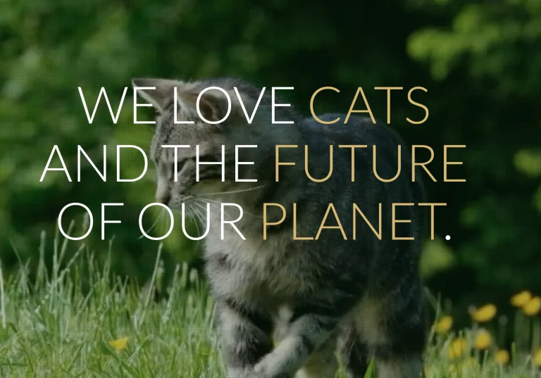Comment réduire l’impact environnemental et l’empreinte carbone de nos chats ?