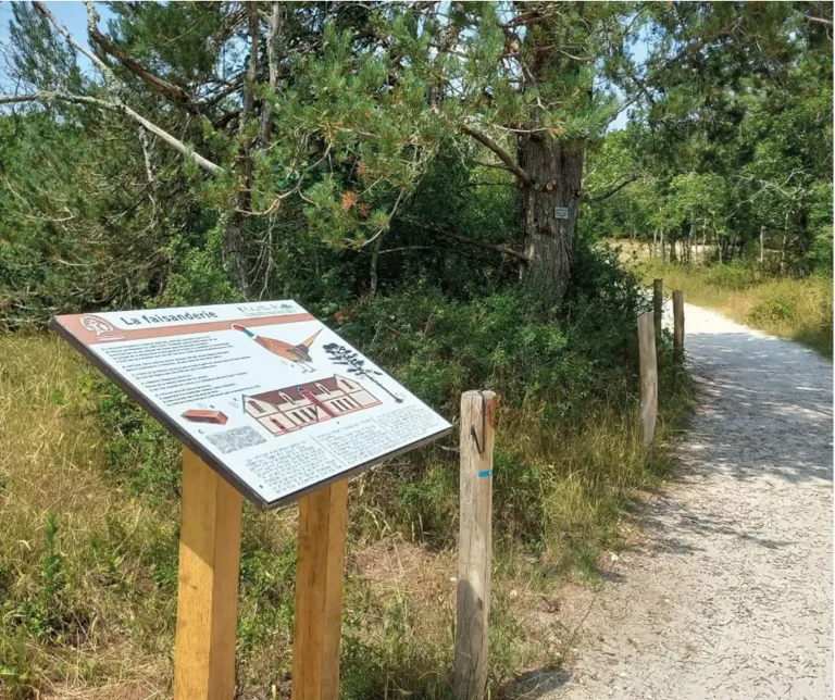 Guide pour améliorer l’accessibilité des sites naturels : enjeux, méthodes et solutions techniques