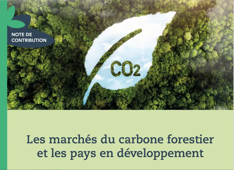 Des crédits carbone, pour compenser les émissions, aux certificats nature, pour une contribution aux services écosystémiques