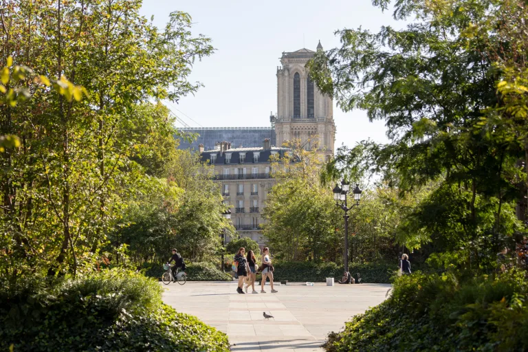 Quel bilan pour les nouvelles « forêts urbaines » de la Ville de Paris ?