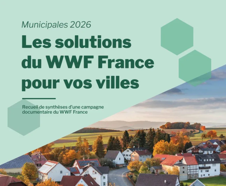 15 plans d’actions pour la transition écologique des villes en partant du quotidien sur le terrain