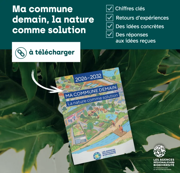 Ma commune demain, la nature comme solution : 4 notions clés et exemples concrets pour débuter le nouveau mandat