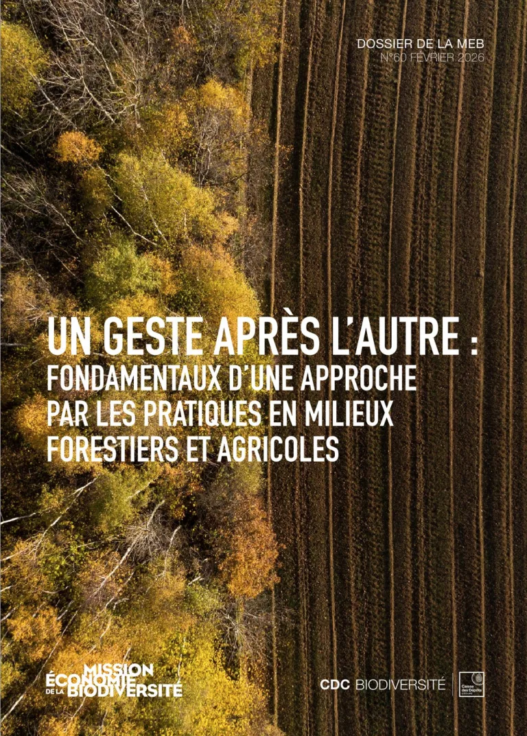 Un geste après l’autre : fondamentaux d’une approche par les pratiques en milieux forestiers et agricoles