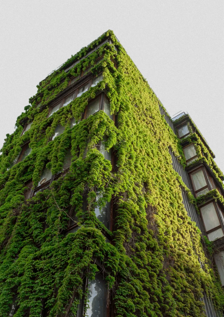 Les espaces verts urbains en France : une création de valeur via les bienfaits sanitaires et écologiques
