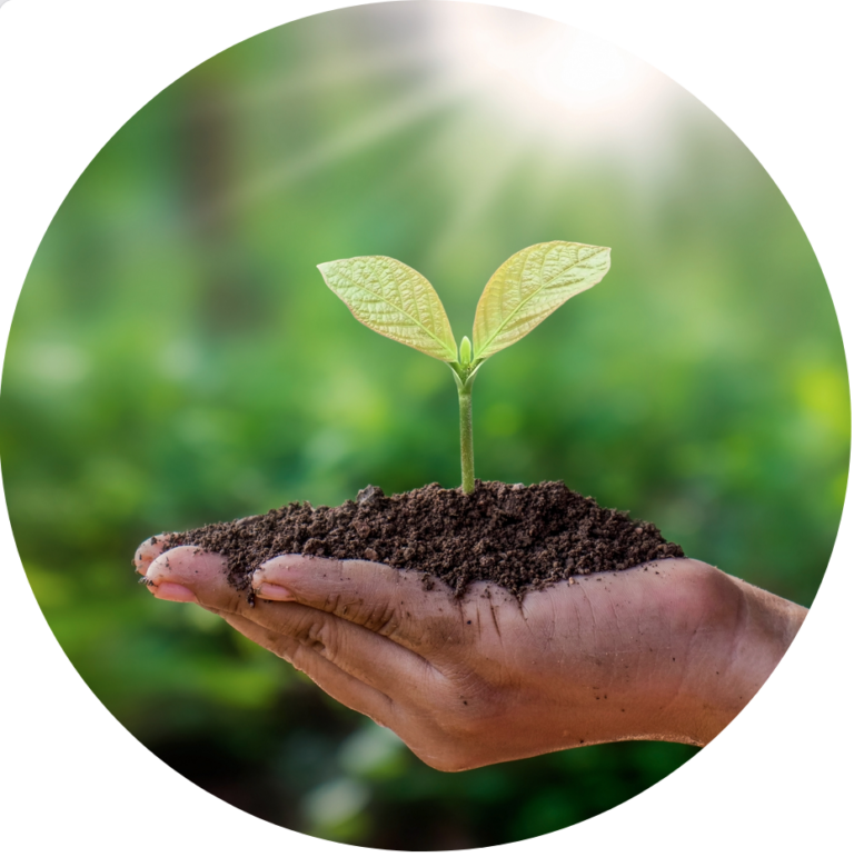 Comment généraliser l’agroécologie ?