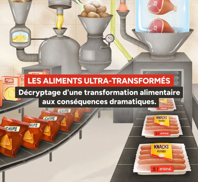 Quelles conséquences sur notre santé d&rsquo;une consommation quotidienne d&rsquo;aliments ultra-transformés ?