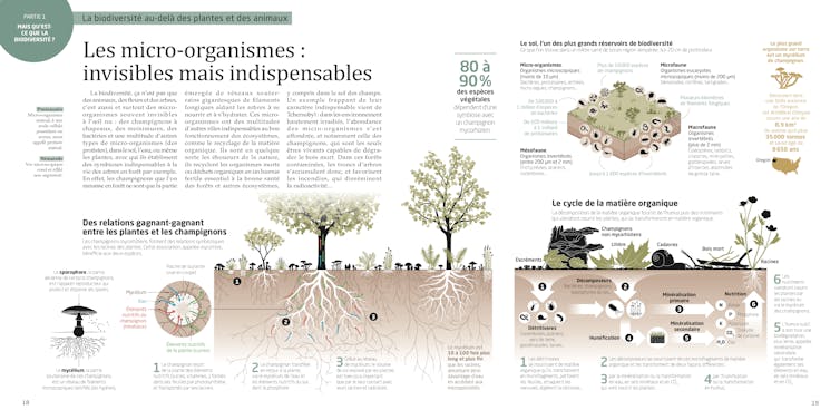 Double page issue de l’ouvrage La Biodiversité en infographies aux Editions Tana