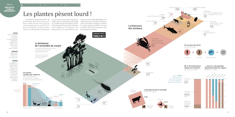 Double page issue de l’ouvrage La Biodiversité en infographies aux Editions Tana