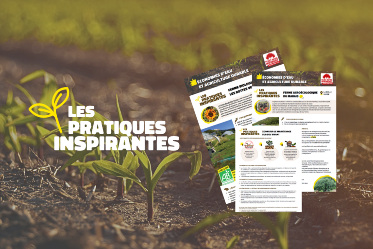 Économies d’eau et agriculture durable : des fermes engagées, plus sobres et résilientes, montrent l&rsquo;exemple